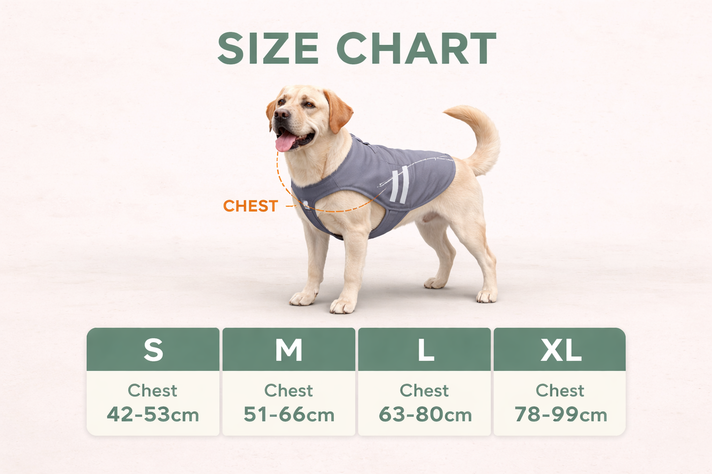 CoolPaw™ - Summer Shield