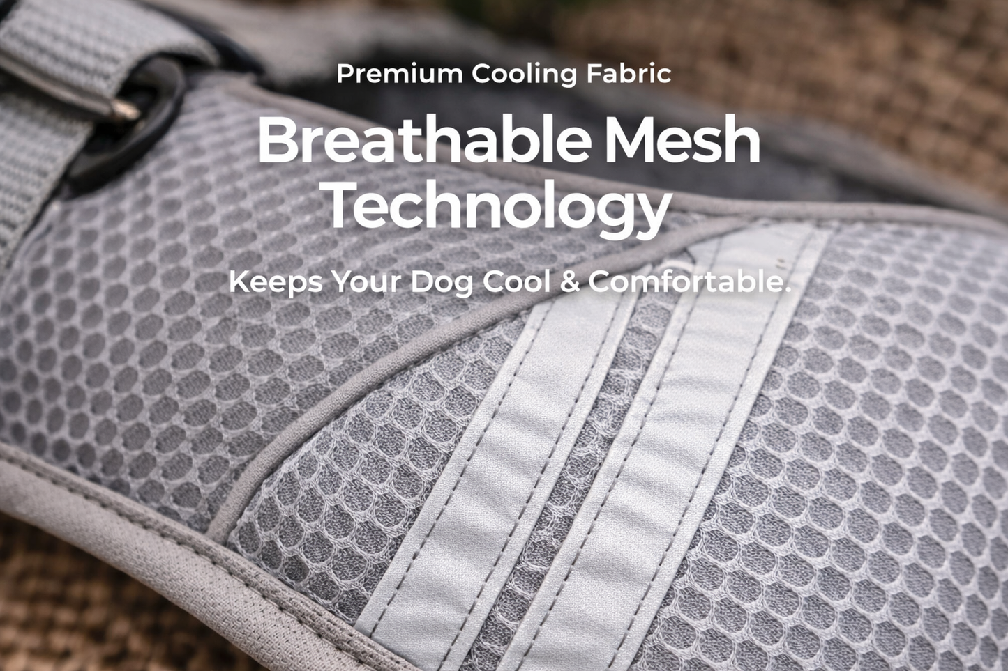 CoolPaw™ - Summer Shield